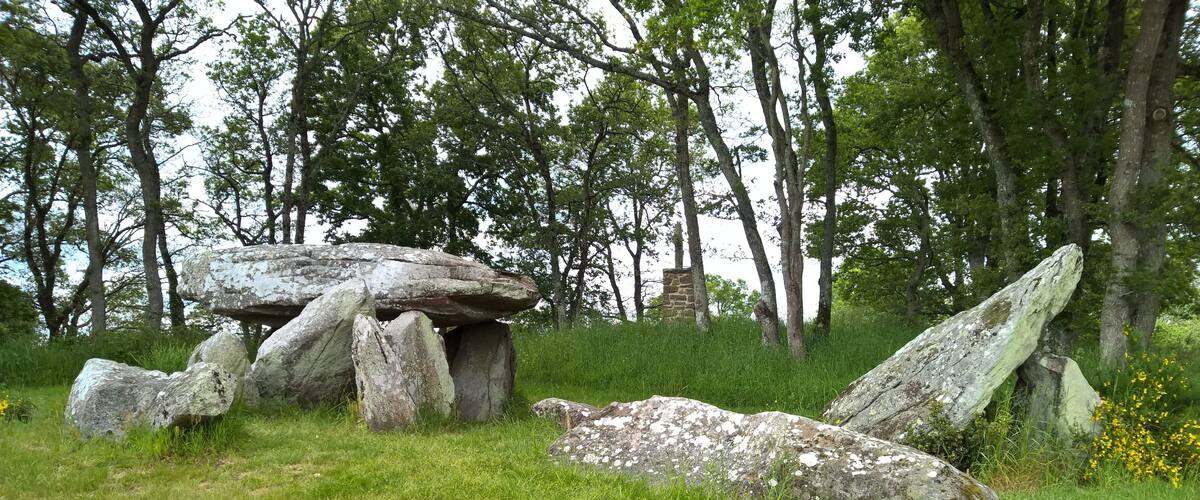 A stone circle with large boulders in a grassy field surrounded by trees.