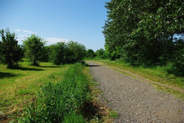 Roding Path. Path back to the Car Park of 1319931 Essex Wildlife Trust Nature Reserve. To learn about this 165 acre green lung just outside the urban sprawl see http://www.essexwt.org.uk/visitor_centres__nature_reserves/roding_valley_meadows/