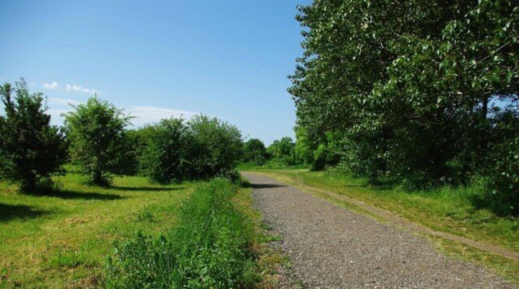 Roding Path. Path back to the Car Park of 1319931 Essex Wildlife Trust Nature Reserve. To learn about this 165 acre green lung just outside the urban sprawl see http://www.essexwt.org.uk/visitor_centres__nature_reserves/roding_valley_meadows/