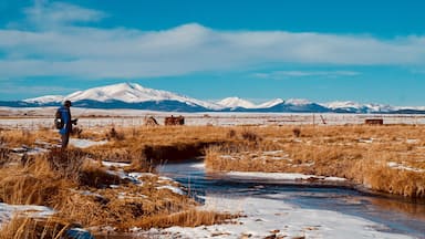 On the way home from hiking Mt.Sherman, we pulled over to find this beautiful fishing hole in a small stream in the middle of this pasture. Beautiful places found by just exploring. #adventurephotocontest