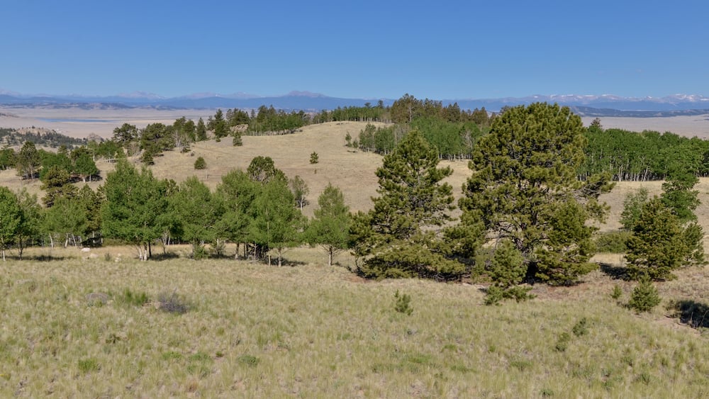 Spinney Mountain Reservoir, South Park valley and Sawatch Range peaks scenic view from Wilkerson Pass (Park County, Colorado, USA)