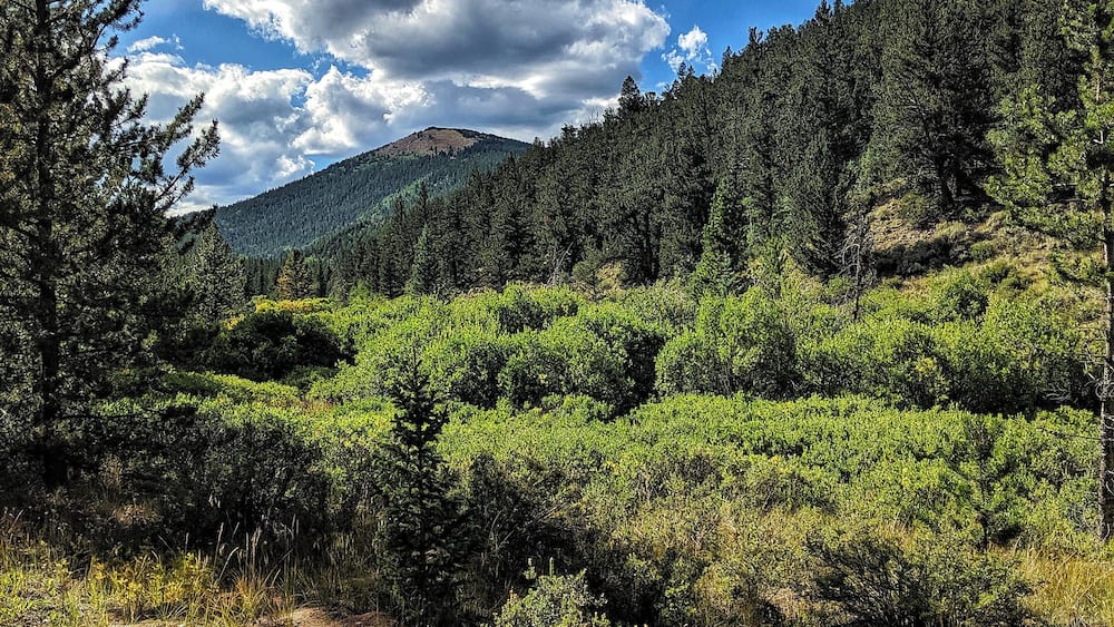 A mountainous landscape with dense forests and a clear blue sky.