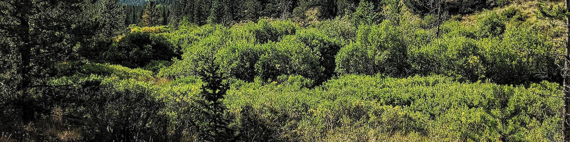A mountainous landscape with dense forests and a clear blue sky.