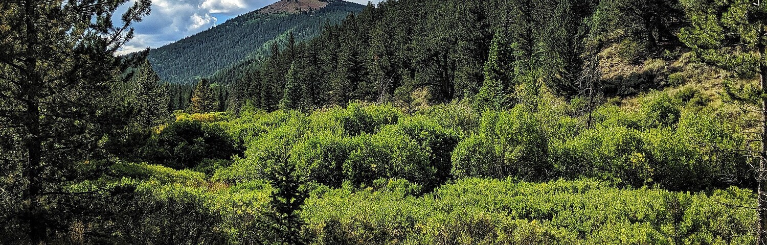 Backpacking in the Buffalo Peaks Wilderness area was the perfect way to spend Labor Day weekend
#adventure