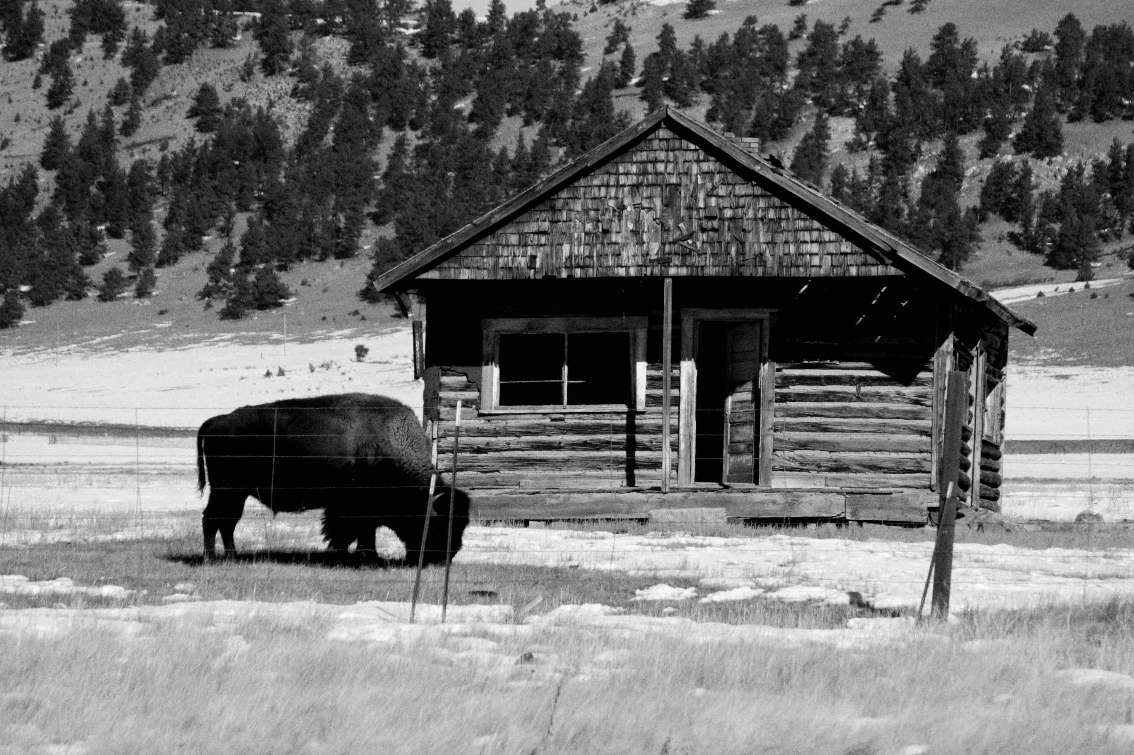 Remnants of an abandoned cattle ranch on CO 24 near Hartsel, CO.