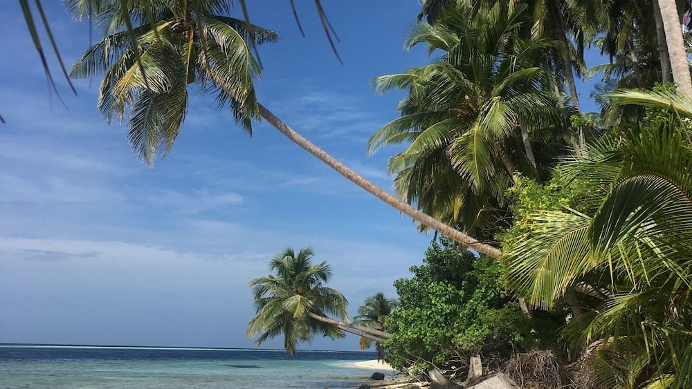 one fine day at Felidhoo