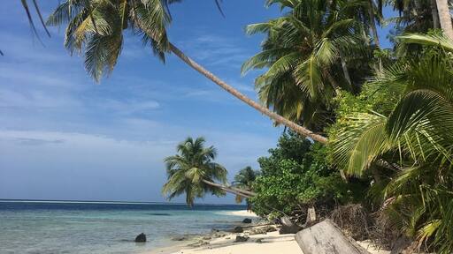 one fine day at Felidhoo