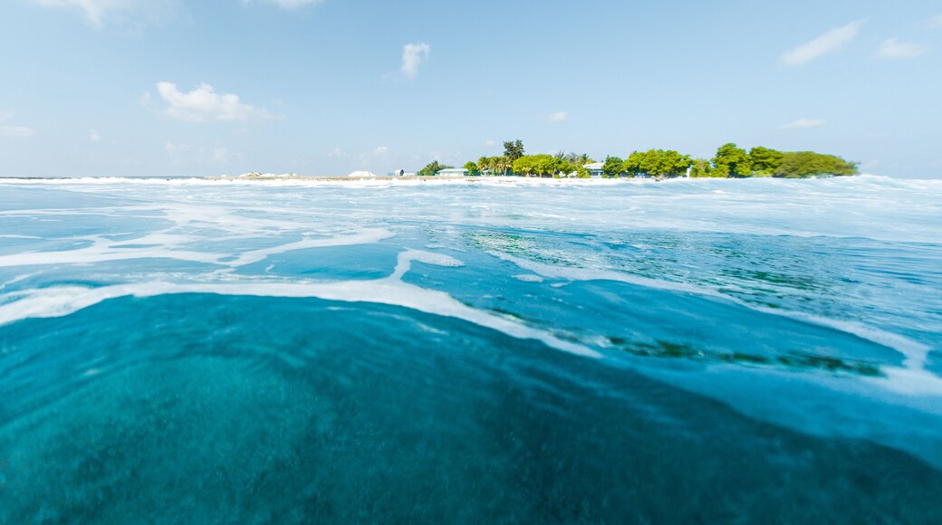 Tropical island and blue sea. View from low point