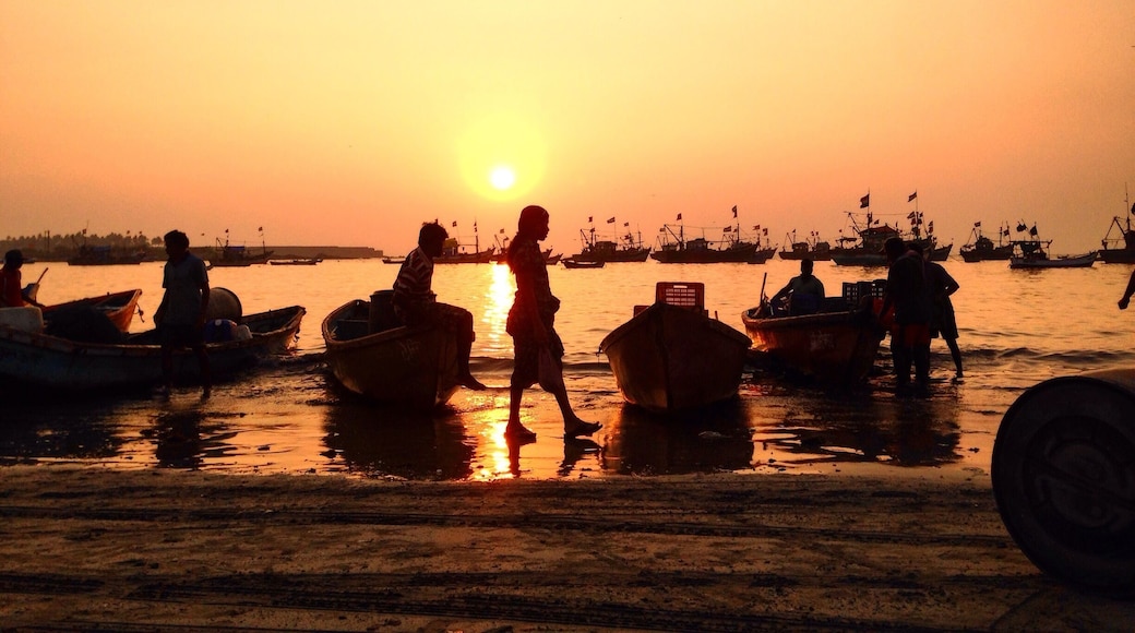 Malvan is a small town not far from the commercialised Goa and has a certain charm including quality fresh fish which one can pick at jaw dropping price. Calamari, lobsters, prawns, kingfish, mackerel, octopus. This beach offers a unique feature which is that one can drive for 8 kilometres across 3 beaches and visit the evening fish market and bid for your choice of fish.