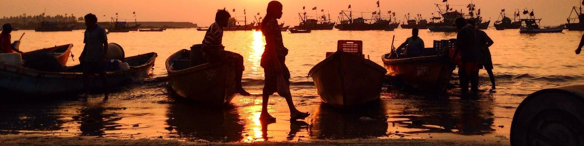 Malvan is a small town not far from the commercialised Goa and has a certain charm including quality fresh fish which one can pick at jaw dropping price. Calamari, lobsters, prawns, kingfish, mackerel, octopus. This beach offers a unique feature which is that one can drive for 8 kilometres across 3 beaches and visit the evening fish market and bid for your choice of fish.