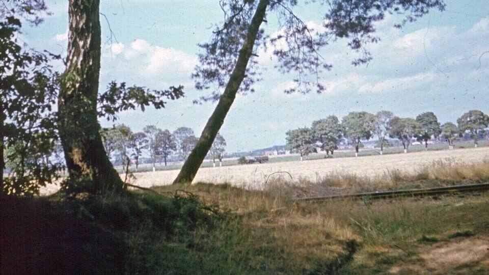 A rural landscape with a railway track, trees, and open fields.