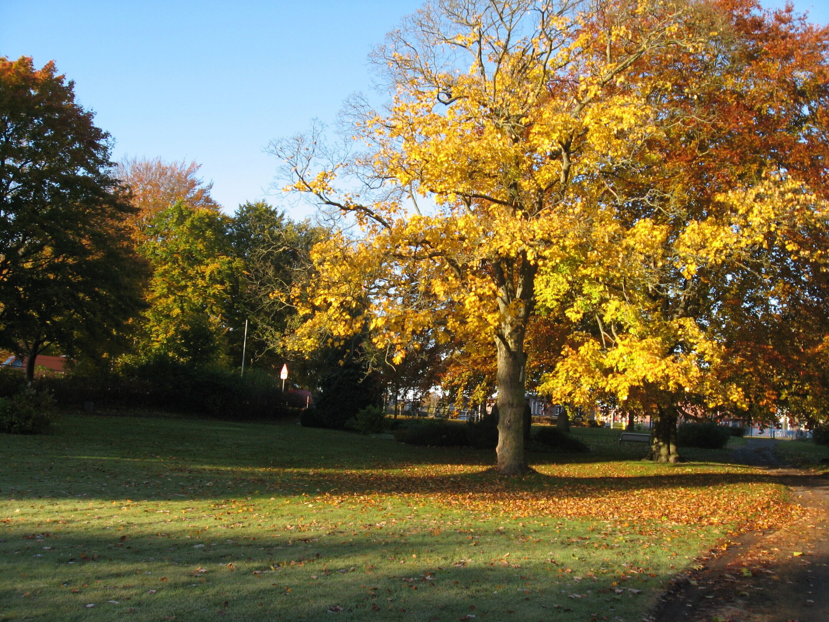 Goethepark in Perleberg