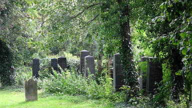 JĂŒdischer Friedhof in der SophienstraĂe in Perleberg