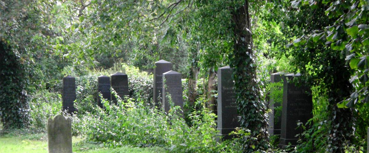 A cemetery with headstones surrounded by lush greenery.