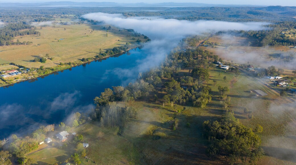 Morning fog over the Clarence river near Grafton , New South Wales, Australia.