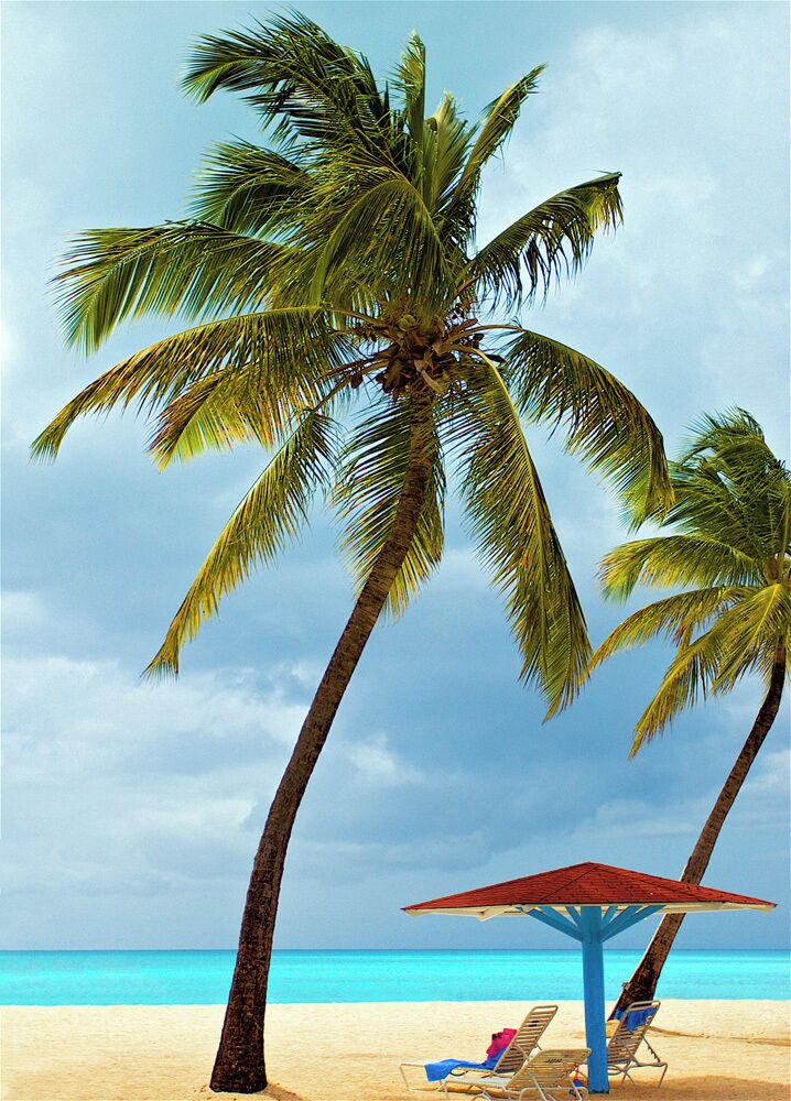 Beautiful beach "Jolly Beach", located at Jolly Harbor, Antigua, Caribbean. The water really is that blue!