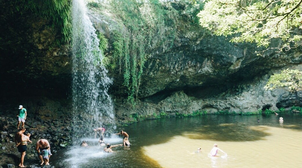 After a small but muddy hike (and a bit of rain in the morning) we came up to the beautiful Killen falls. There are no crocs (unlike many other places in Australia) so it was a beautiful day of swimming under the waterfall and in the swimming hole. To my surprise the falling water was warm! Stop off after in Balgowlah (about a 15 min drive from the falls) for some lunch #waterlust #waterfall #endlesssummer #hiking