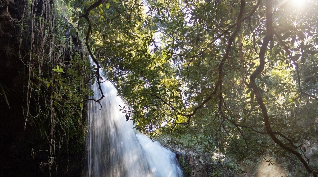 Hard to get a good shot as there were a lot of people around but I got there in the end