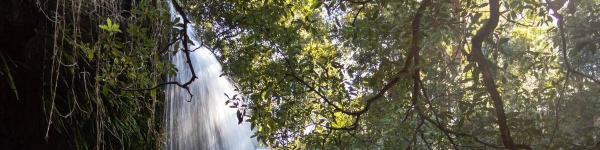 Une cascade se jetant dans une zone boisée, la lumière du soleil filtrant à travers les arbres.