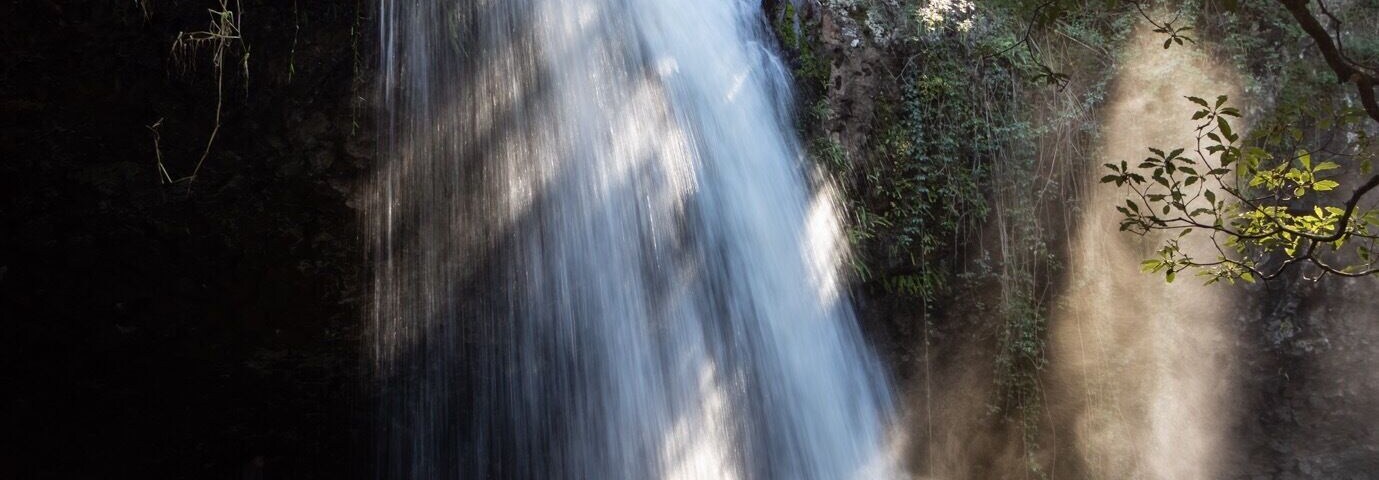 Hard to get a good shot as there were a lot of people around but I got there in the end