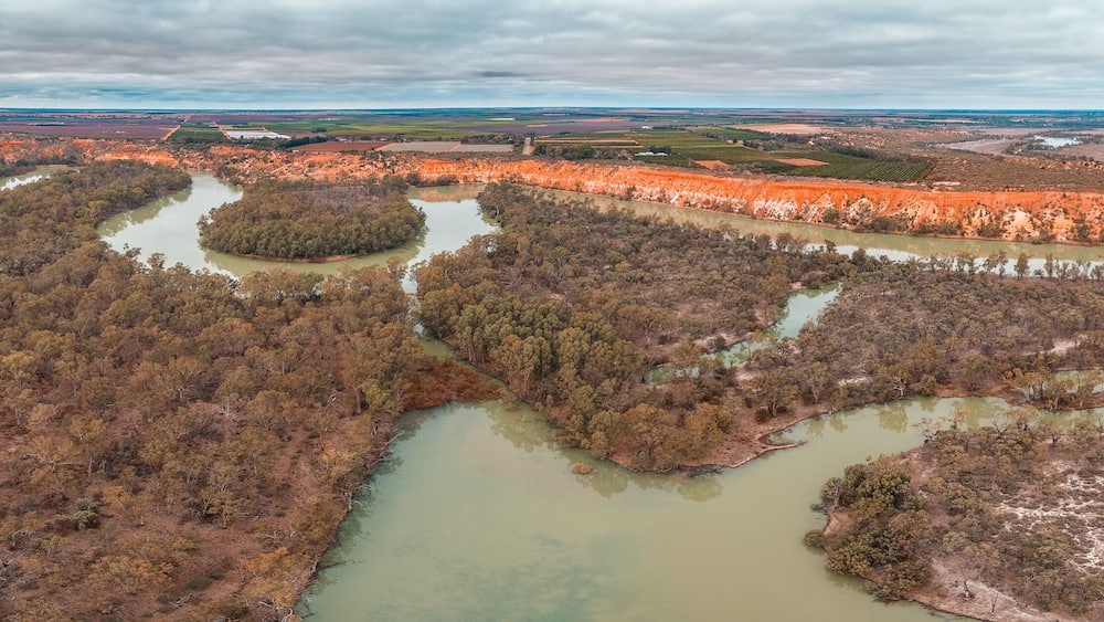 Wide aerial panorama of Murray River in Riverland region of South Australia