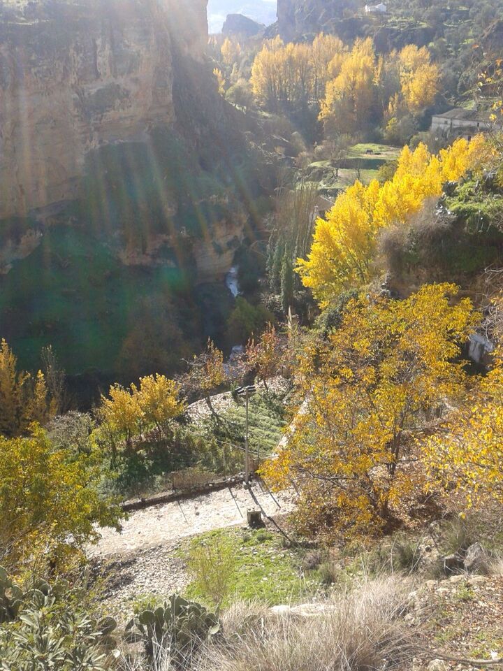 A canyon with yellow foliage and a river.