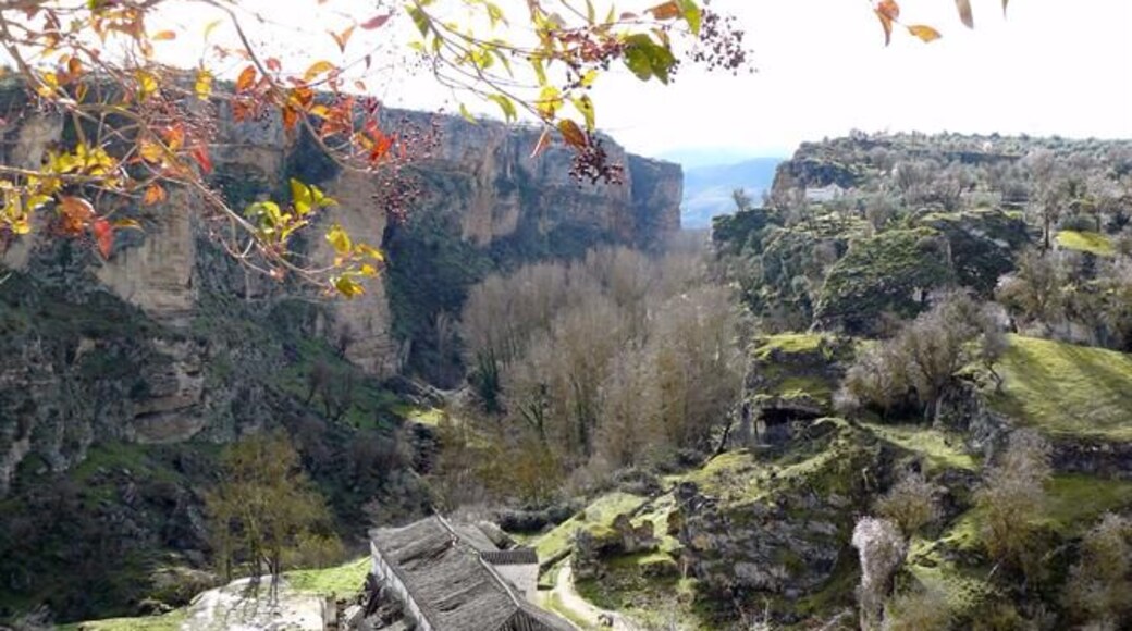 Tajos de Alhama de Granada. The Gorge at Alhama De Granada from http://www.spain-holiday.com/Alhama-de-Granada/articles/alhama-de-granada-andalucia
A beautiful view and lovely walk through the gorge.