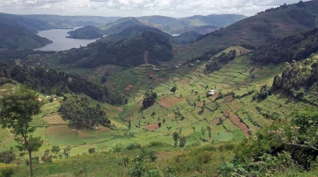 Lake Bunyonyi with surrounding mountains
#Mountains