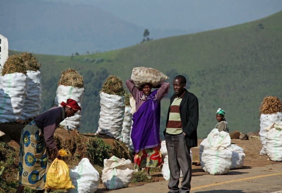 Selling coal, we needed some to cook our dinner