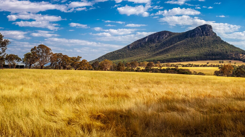 Mount Abrupt in Grampians National Park, Victoria, Austrlaia - wide panorama
