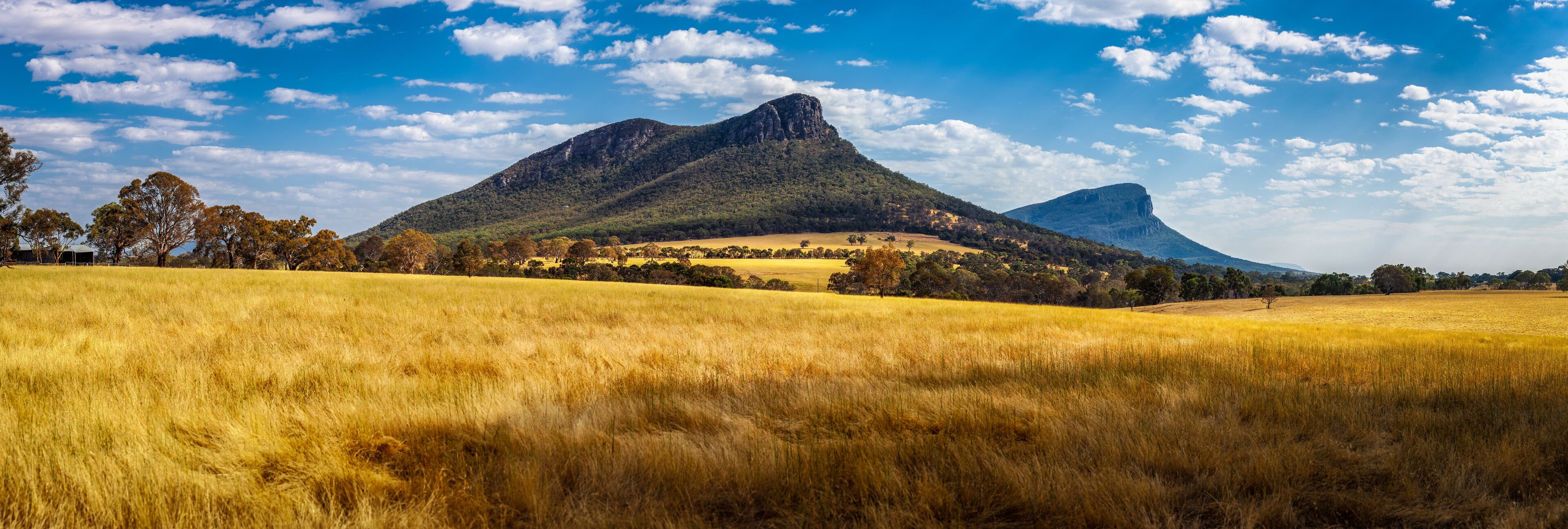 A golden field with two prominent mountains in the background.