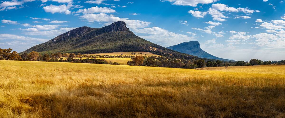 A golden field with two prominent mountains in the background.