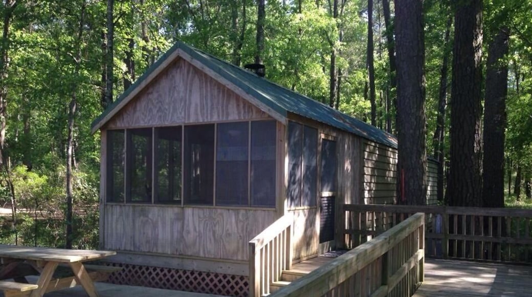 This was the cabin we stayed at while visiting Panama City. Located in Sneads, it comes fully equipped with exception to bed sheets (you have to bring your own). The only cabin in the park and completely private.
It's also wheelchair accessible.