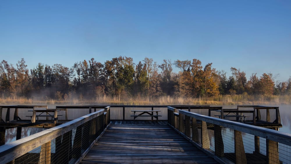 A wooden boardwalk leading to a misty lake with picnic tables and a forested backdrop.