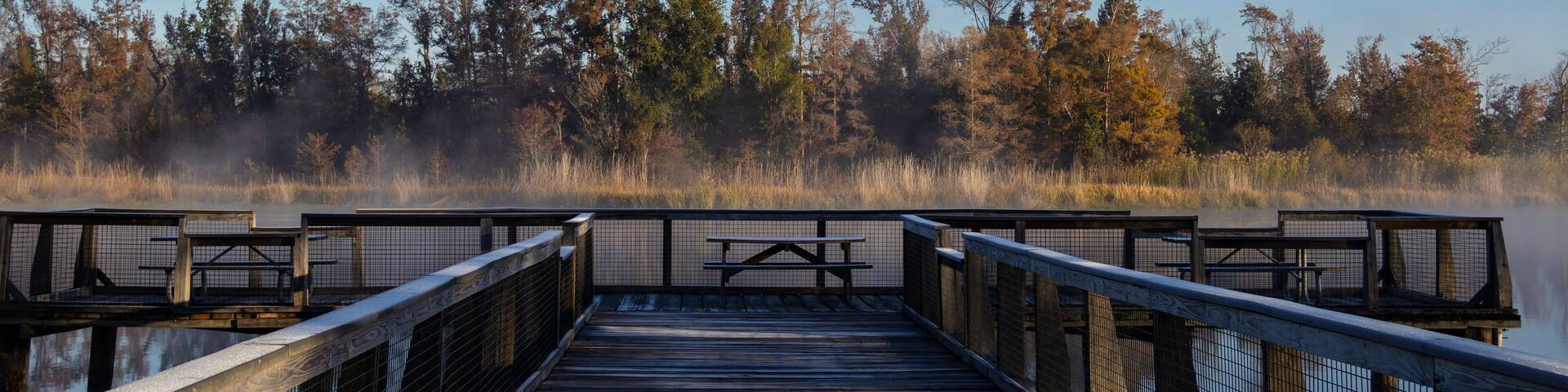 Cold, misty sunrise over Lake Seminole in Three Rivers State Park near Sneads, FL
