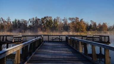 Cold, misty sunrise over Lake Seminole in Three Rivers State Park near Sneads, FL