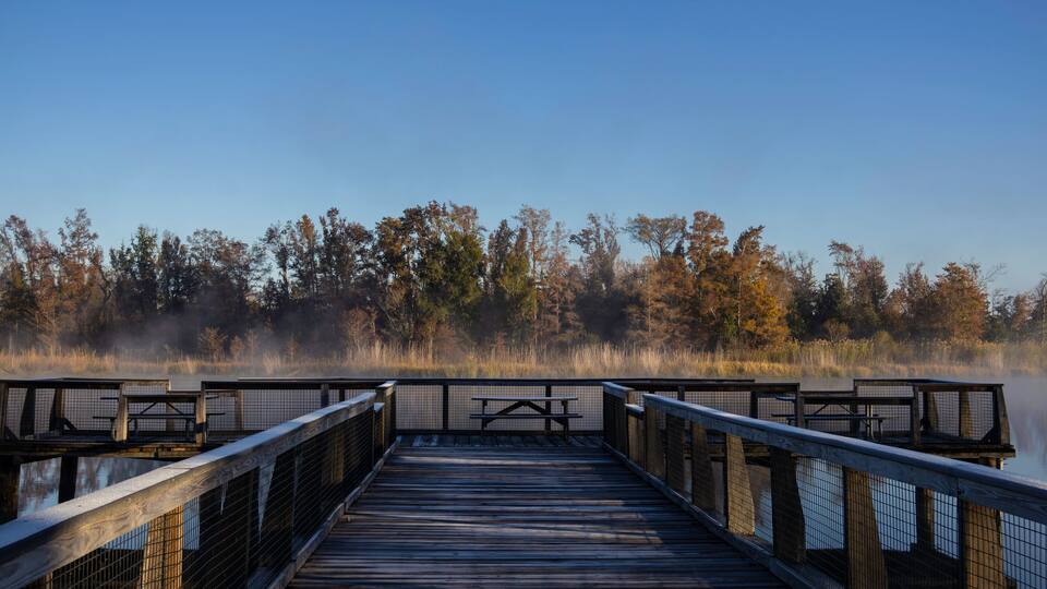 A wooden boardwalk leading to a misty lake with picnic tables and a forested backdrop.