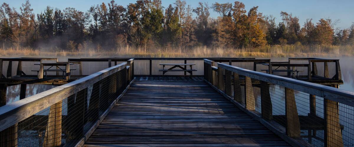 A wooden boardwalk leading to a misty lake with picnic tables and a forested backdrop.