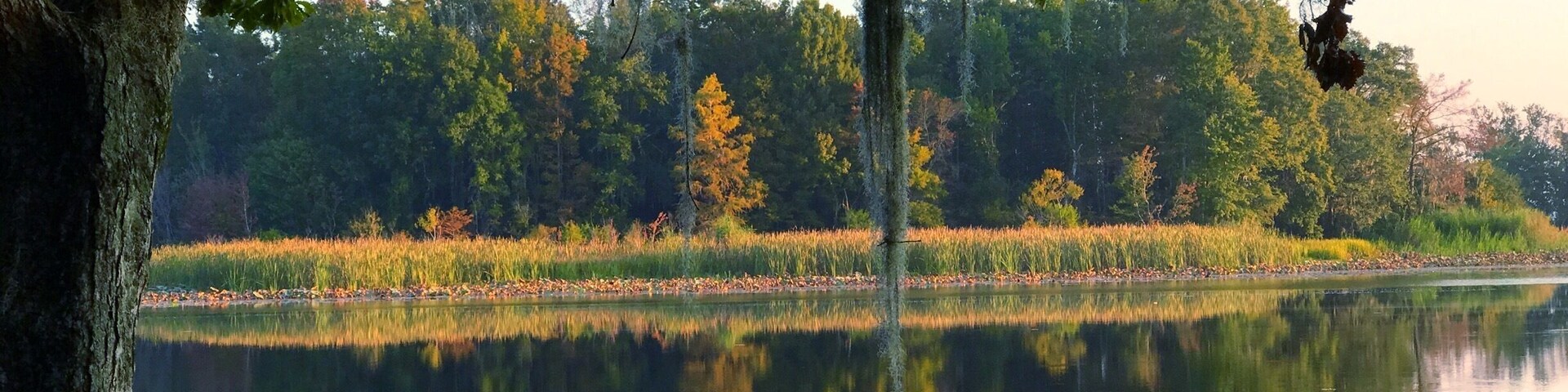 Fall color's on Lake Seminole.