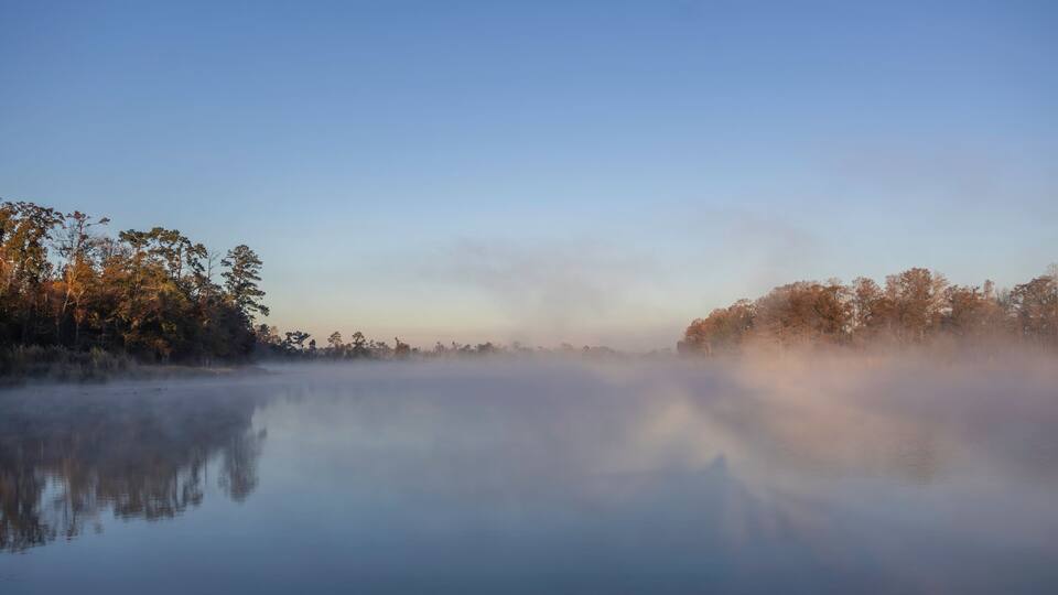 A calm lake with mist and trees reflecting on the water's surface.