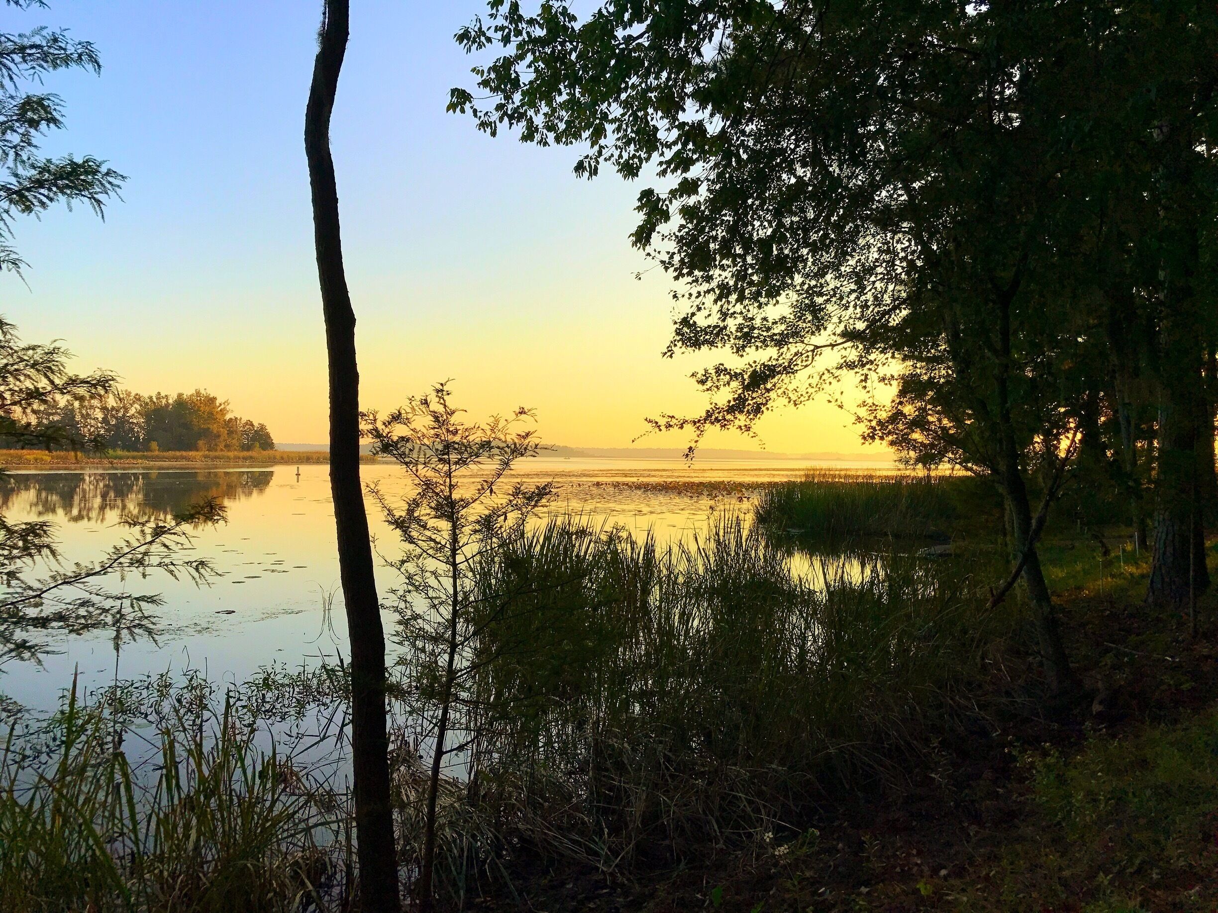 Sun rise on Lake Seminole 