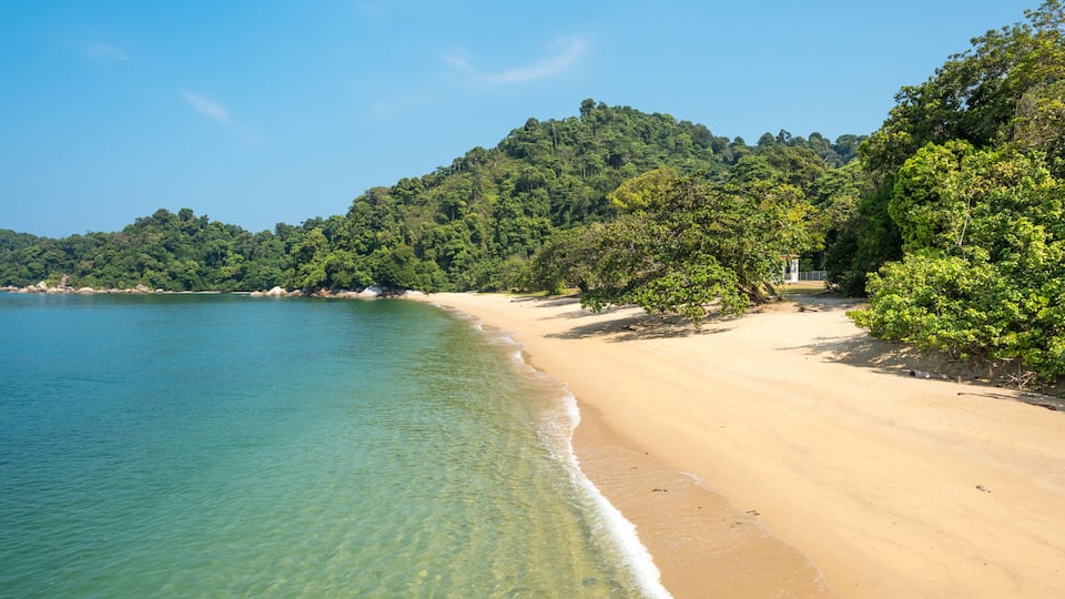 A clear beach with turquoise water, sandy shore, and a forested hill in the background.