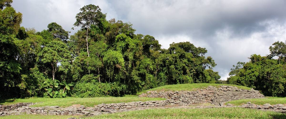 A lush green landscape with dense trees and a stone structure in the foreground.