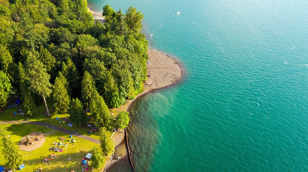 Aerial photo of Cultus Lake in Chilliwack, B.C. while people are enjoying the summer activities at the lakeshore and doing barbeque in the woods by the lake