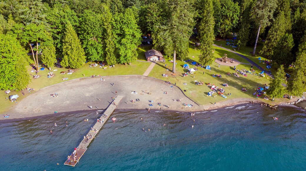 Birds eye view photo of Cultus Lake and its beach while people are enjoying the summer activities at the lakeshore and doing barbeque in the woods by the lake, Chilliwack, British Columbia, Canada