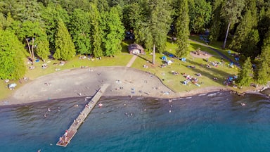 Birds eye view photo of Cultus Lake and its beach while people are enjoying the summer activities at the lakeshore and doing barbeque in the woods by the lake, Chilliwack, British Columbia, Canada