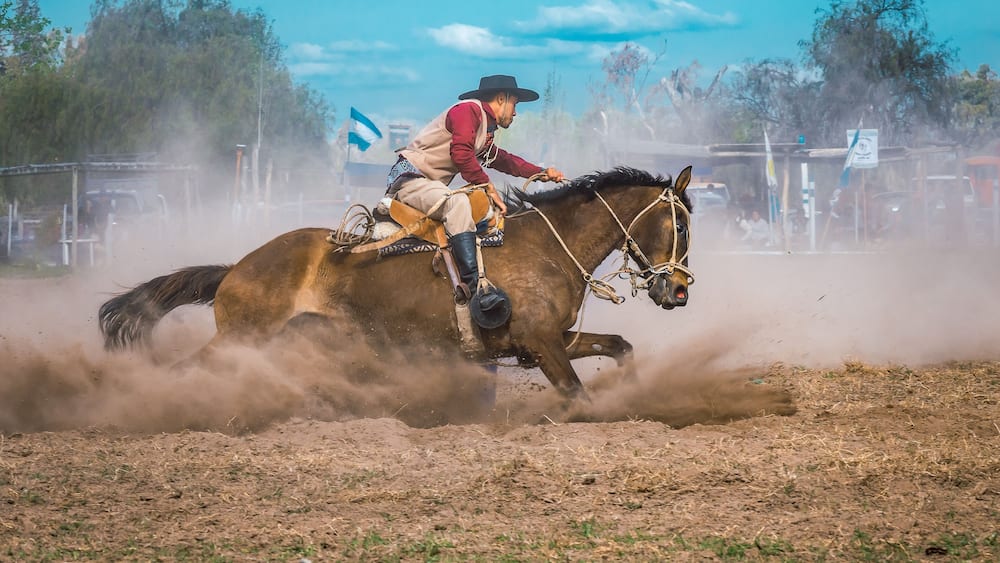 A person riding a horse in a dusty arena with trees and a clear sky in the background.