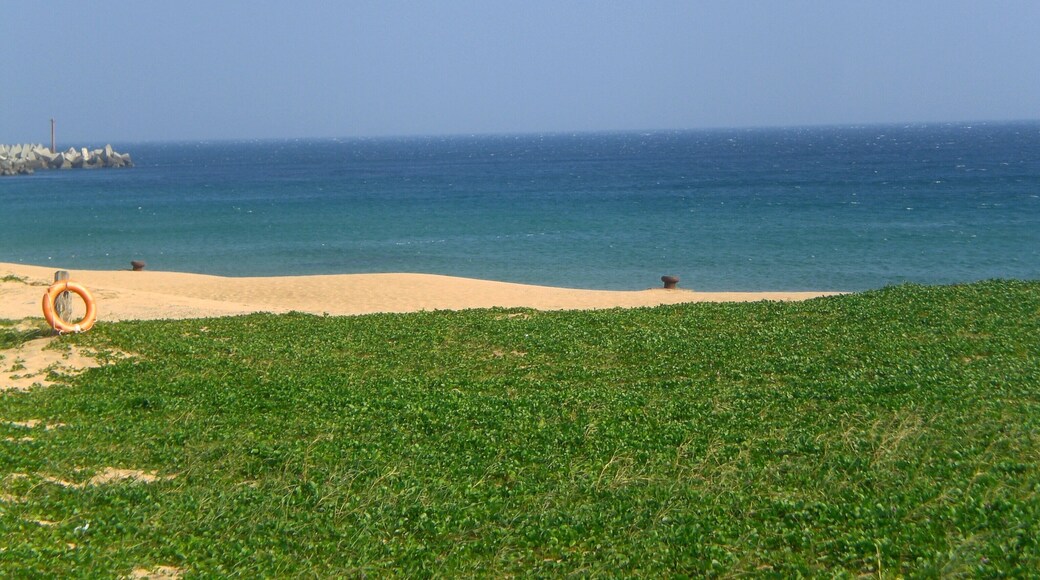 After a roller coaster like boat ride, Penghu looks surprisingly peaceful. Penghu is known as the pearl of the Taiwan Strait, which is composed of 90 islands. Basalt columns are a dominant part of the geological landscape on the islands.
#LifeAtExpedia #beach