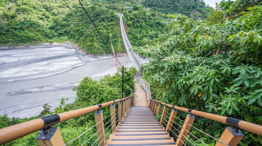 Valley Glaze Bridge in Taiwan, Pingtung. (The Longest Suspension Bridge in Taiwan)