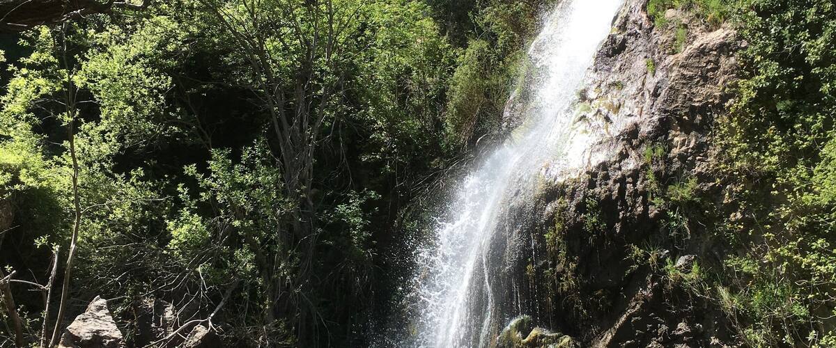 A waterfall cascading down a rocky cliff surrounded by lush greenery.